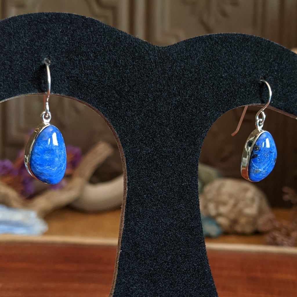 Lapis Earrings by Cathy Webster GJ-ERN-0070